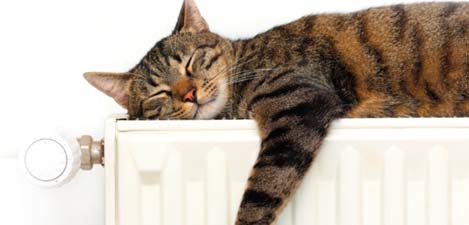 A cat enjoying warmth on a radiator.